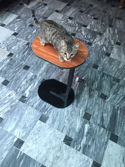 Oval C-Shaped Sofa Side Table